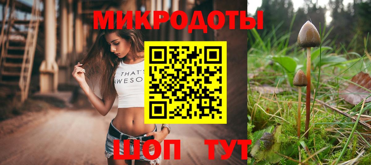 Псилоцибиновые грибы Cubensis  Галлюциногенные грибы Magic Shrooms  Омск  Вход с VPN 